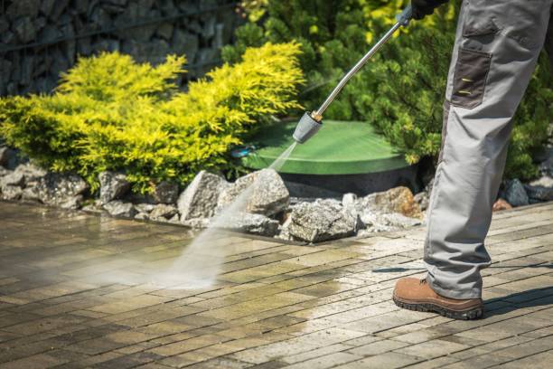 Best Roof Washing  in Sagamore, MA